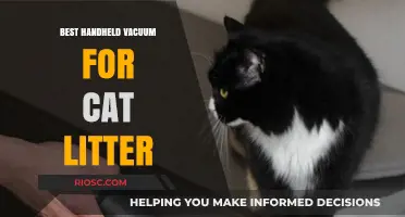 Top Handheld Vacuums for Effortless Cat Litter Cleanup: A Pet Owner’s Guide