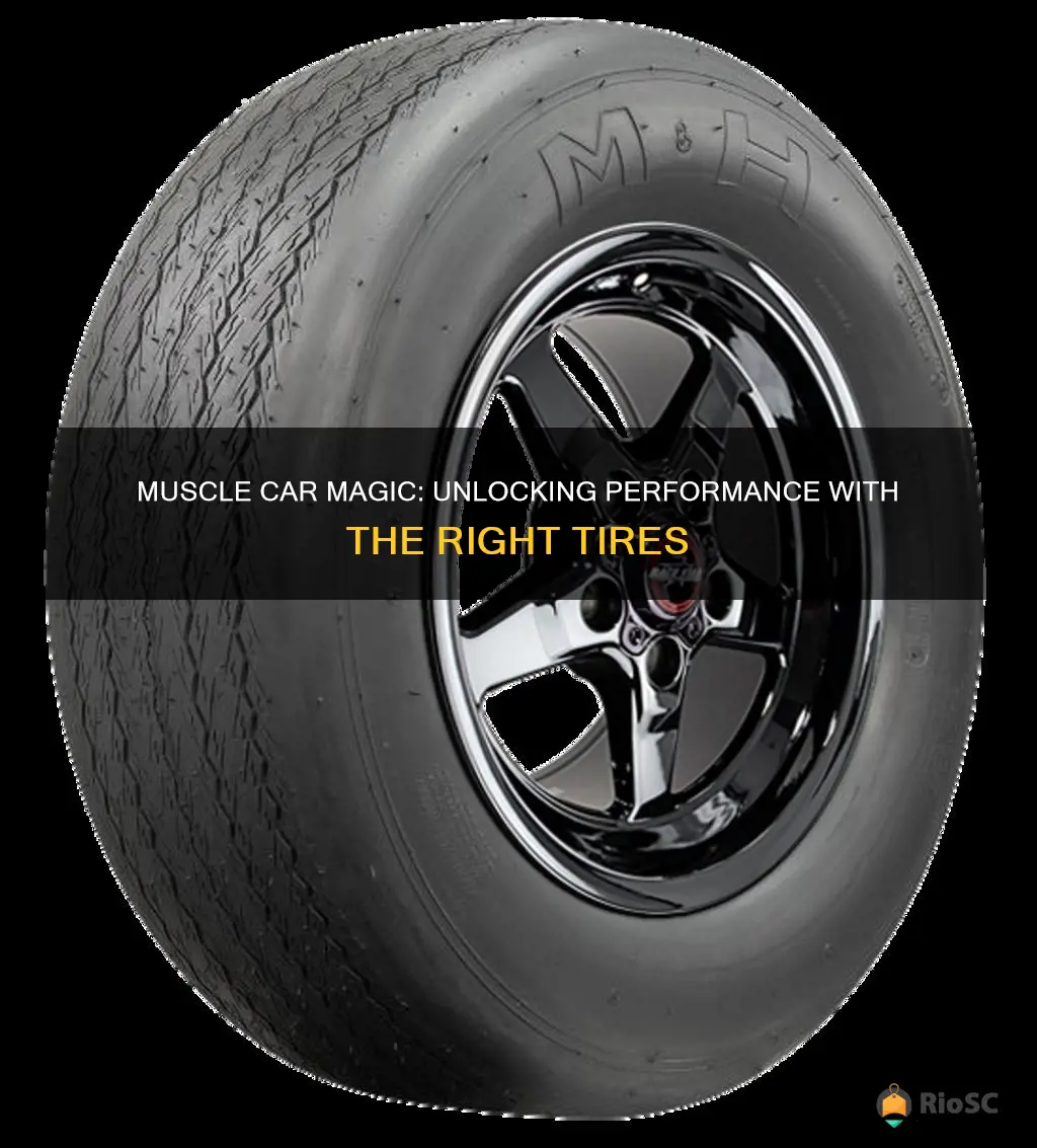 best handling muscle car tires