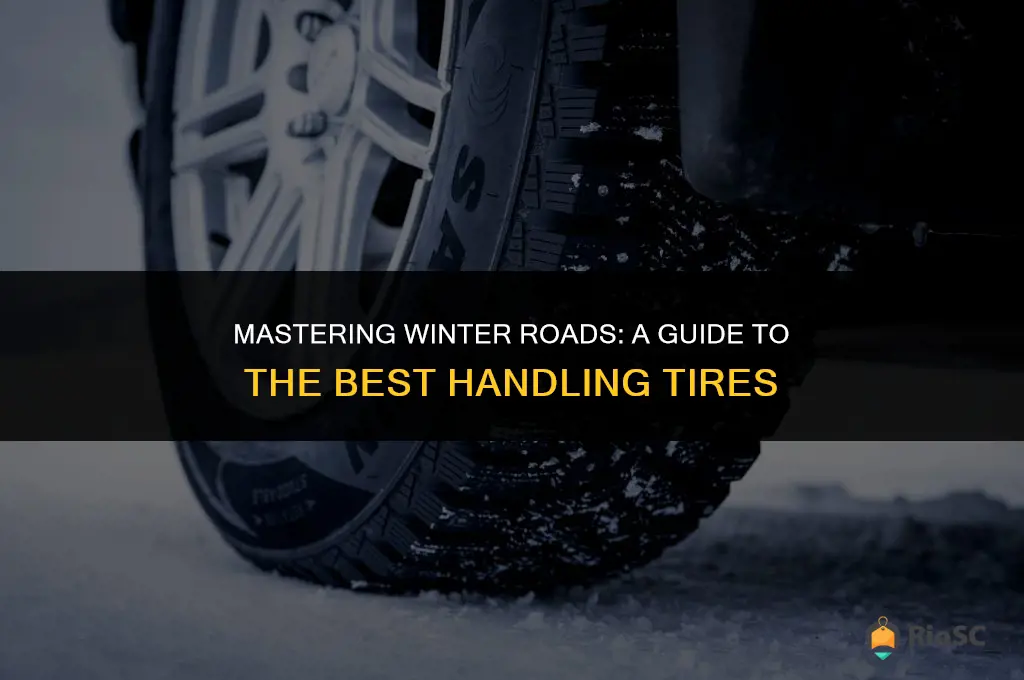 best handling winter tires