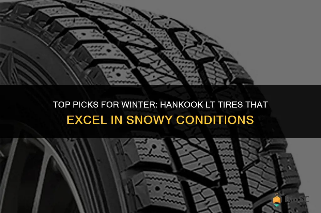 best hankook lt winter tires
