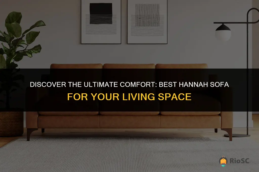 best hannah sofa