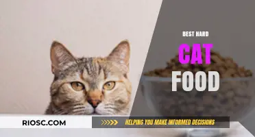 Top Picks for Your Feline Friend: The Best Hard Cat Food Options
