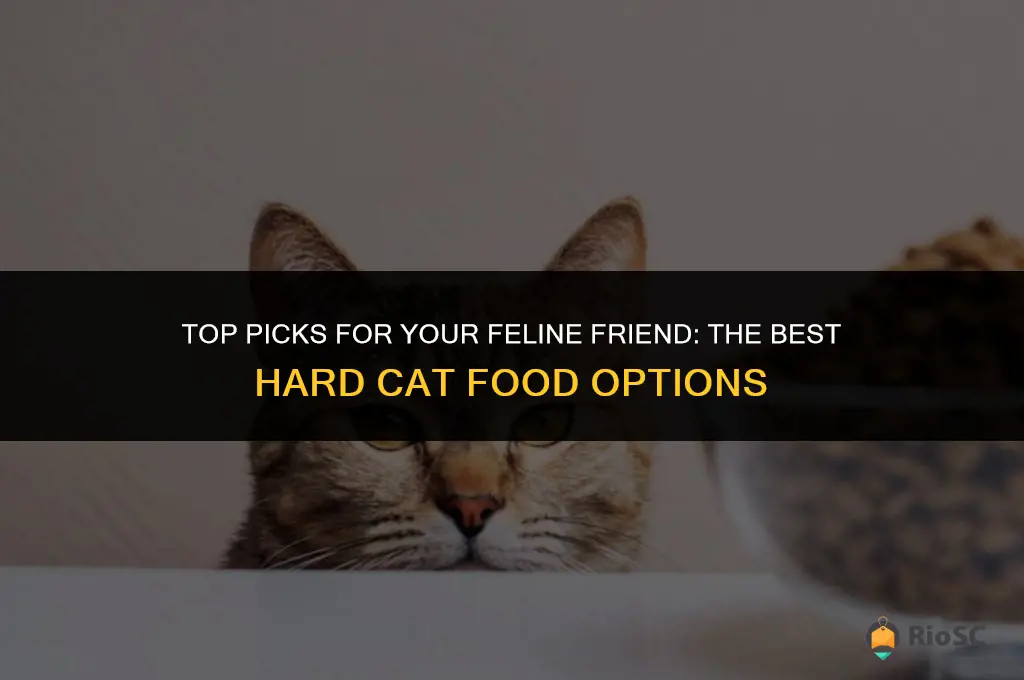 best hard cat food