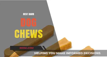 Tough Chews for Strong Jaws: Discover the Best Hard Dog Chews to Keep Your Pup Entertained and Healthy