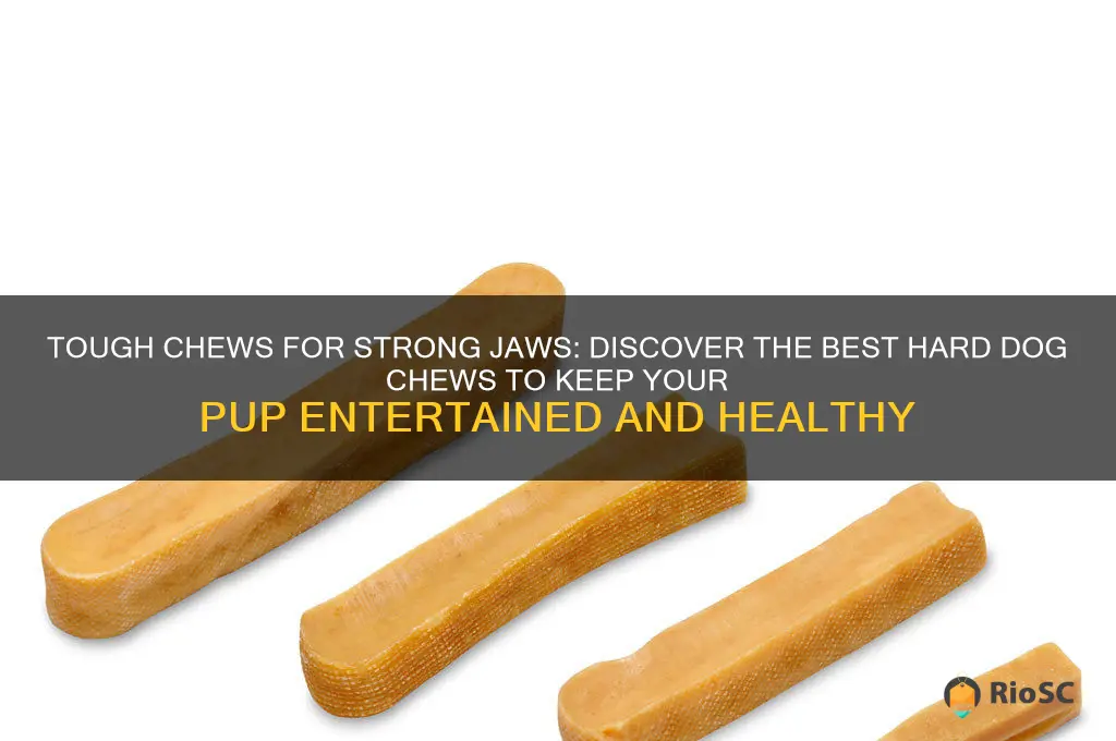 best hard dog chews