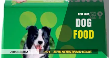 Top Picks for Your Furry Friend: The Best Hard Dog Food Options