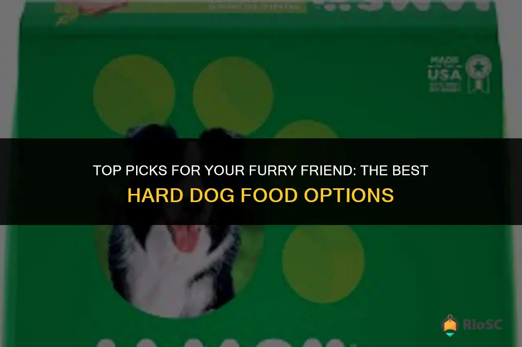best hard dog food