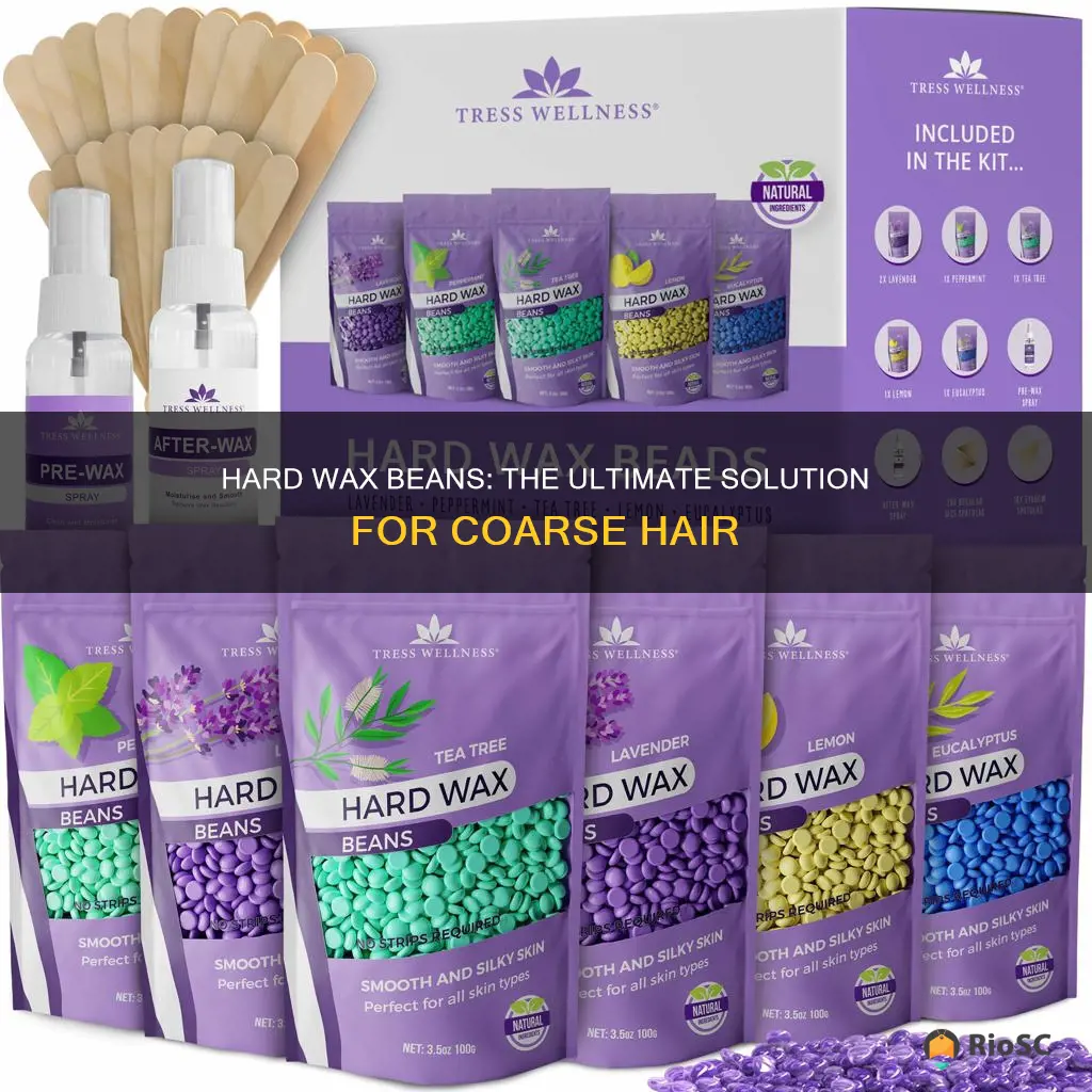 best hard wax beans for coarse hair