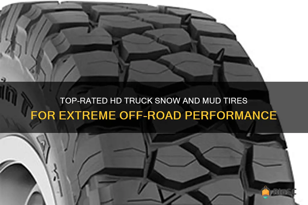 best hd truck snow and mud tires
