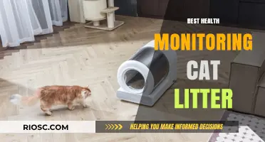 Revolutionary Health Monitoring Cat Litter: Track Your Feline’s Well-being with Every Scoop