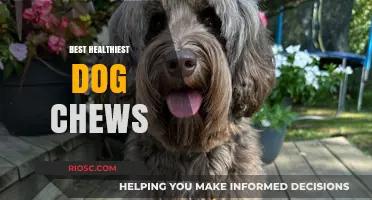 Nutritious and Safe: Top Dog Chews for Optimal Canine Health
