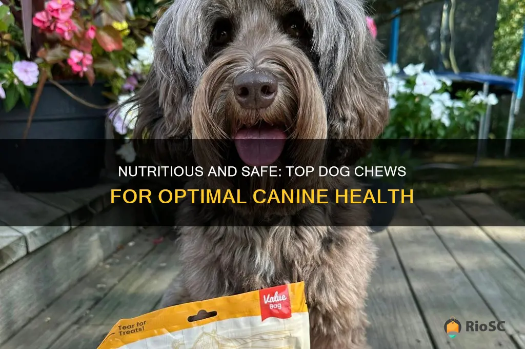 best healthiest dog chews