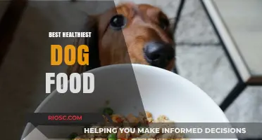Nutrition Unleashed: Unveiling the Best Healthiest Dog Food Options for Your Furry Friend