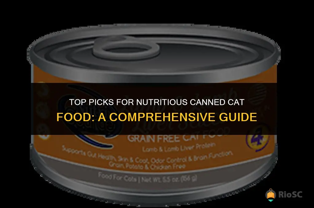 best healthy canned cat food