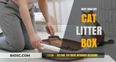 Eco-Friendly and Safe: The Ultimate Guide to Choosing the Best Healthy Cat Litter Box