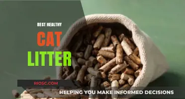 Eco-Friendly and Safe: Discover the Best Healthy Cat Litter Options for Your Feline Friend