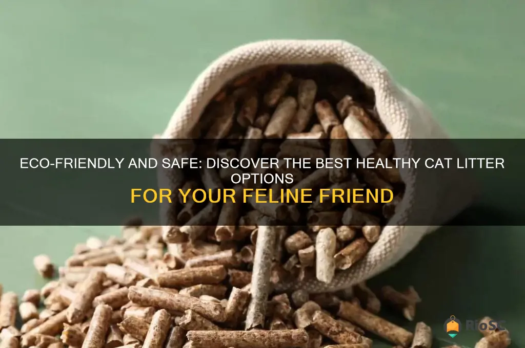 best healthy cat litter