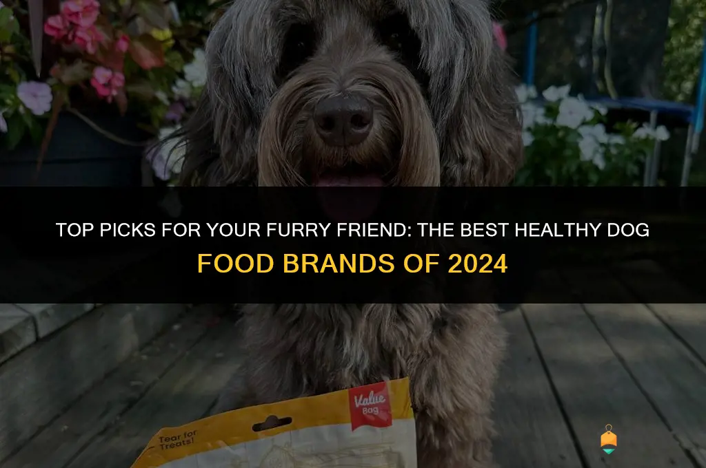 best healthy dog food brands