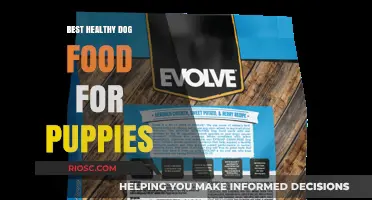 Nourishing Growth: Top Healthy Dog Food Choices for Puppies