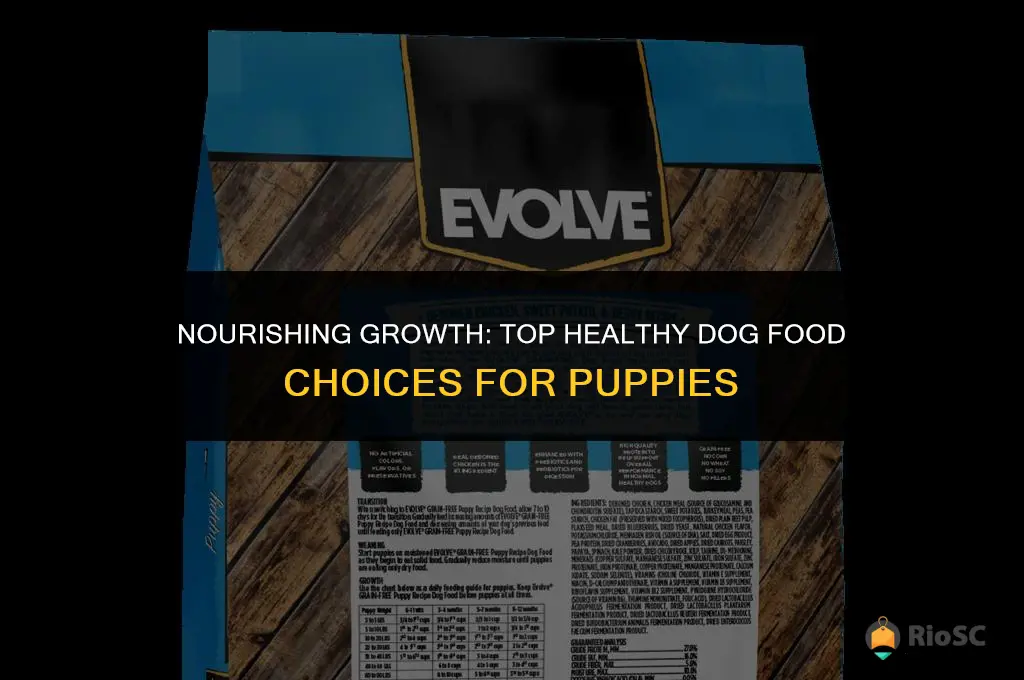 best healthy dog food for puppies