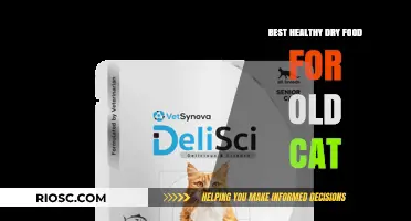 Nourishing Senior Felines: Top Healthy Dry Food Options for Aging Cats