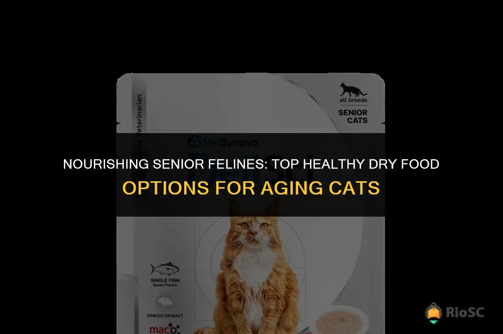 best healthy dry food for old cat