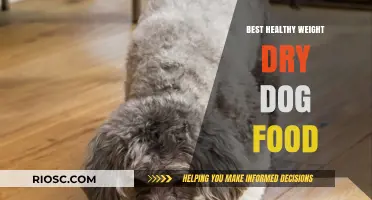 Nutritious and Delicious: Top Picks for the Best Healthy Weight Dry Dog Food