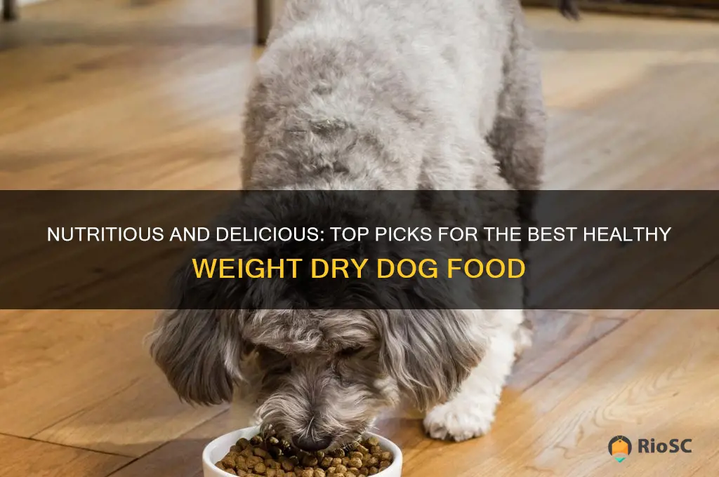 best healthy weight dry dog food