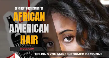 Shield and Style: Unlocking the Power of Heat Protectants for African American Hair