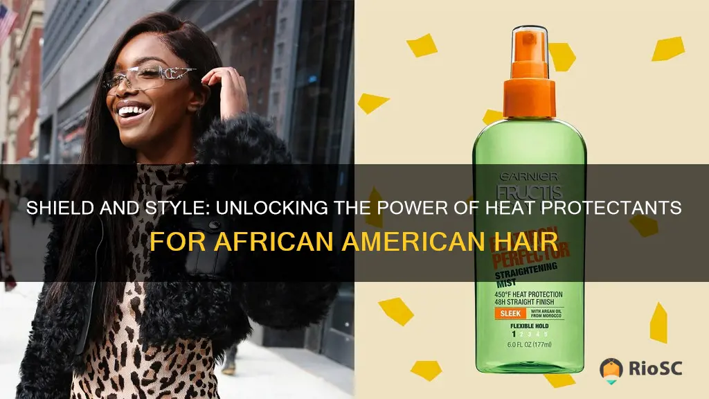 best heat protectant for african american hair