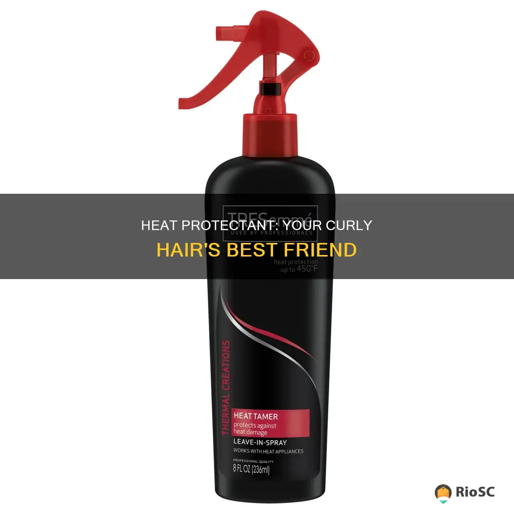 best heat protectant for curlng ironing hair