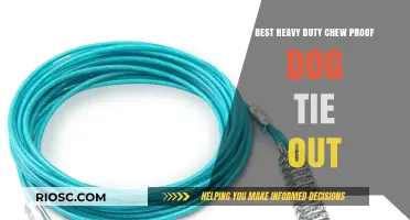Ultimate Guide to the Best Heavy-Duty Chew-Proof Dog Tie Out for Durable Outdoor Safety