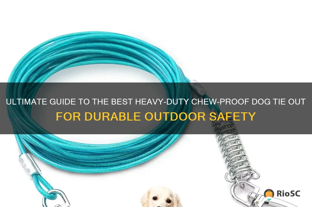 best heavy duty chew proof dog tie out