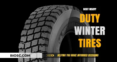 Top Picks for Heavy-Duty Winter Tires: Stay Safe and Mobile in Harsh Conditions