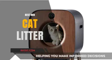 Top Picks for the Best H-E-B Cat Litter: Keep Your Feline Friend Happy and Your Home Fresh