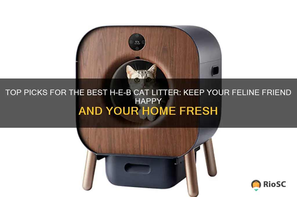 best heb cat litter