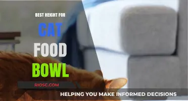 Ergonomic Eating: Finding the Purr-fect Height for Your Cat's Food Bowl