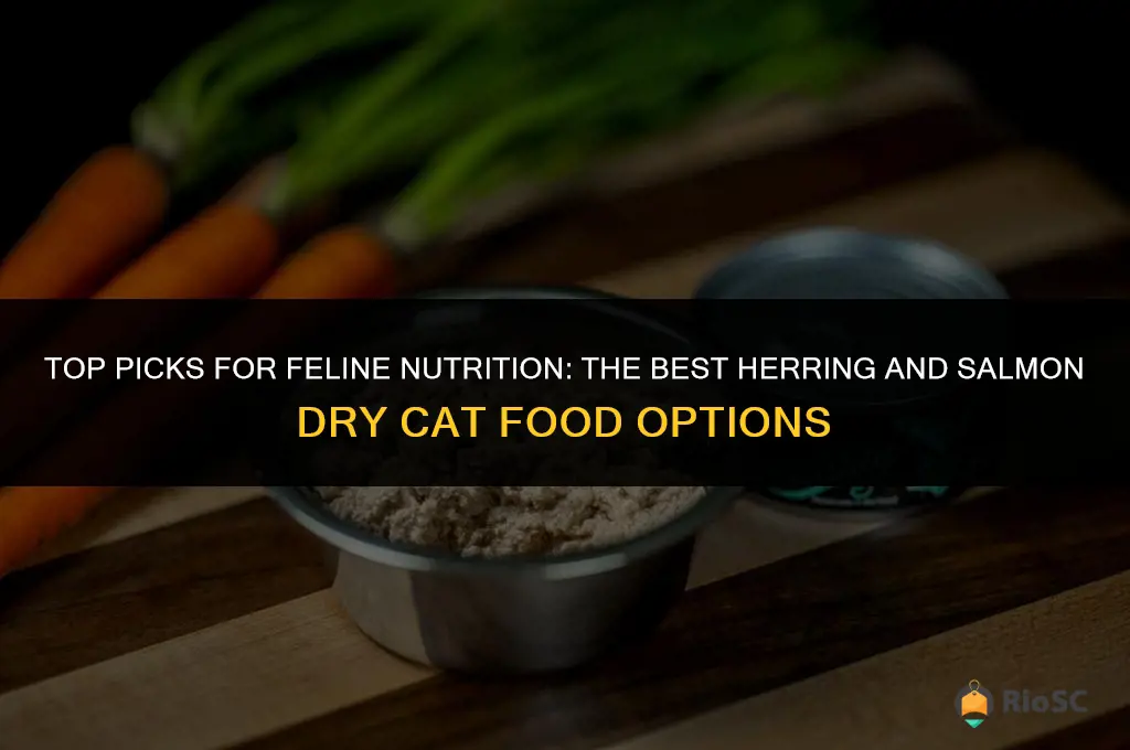 best herring and salmon dry cat food