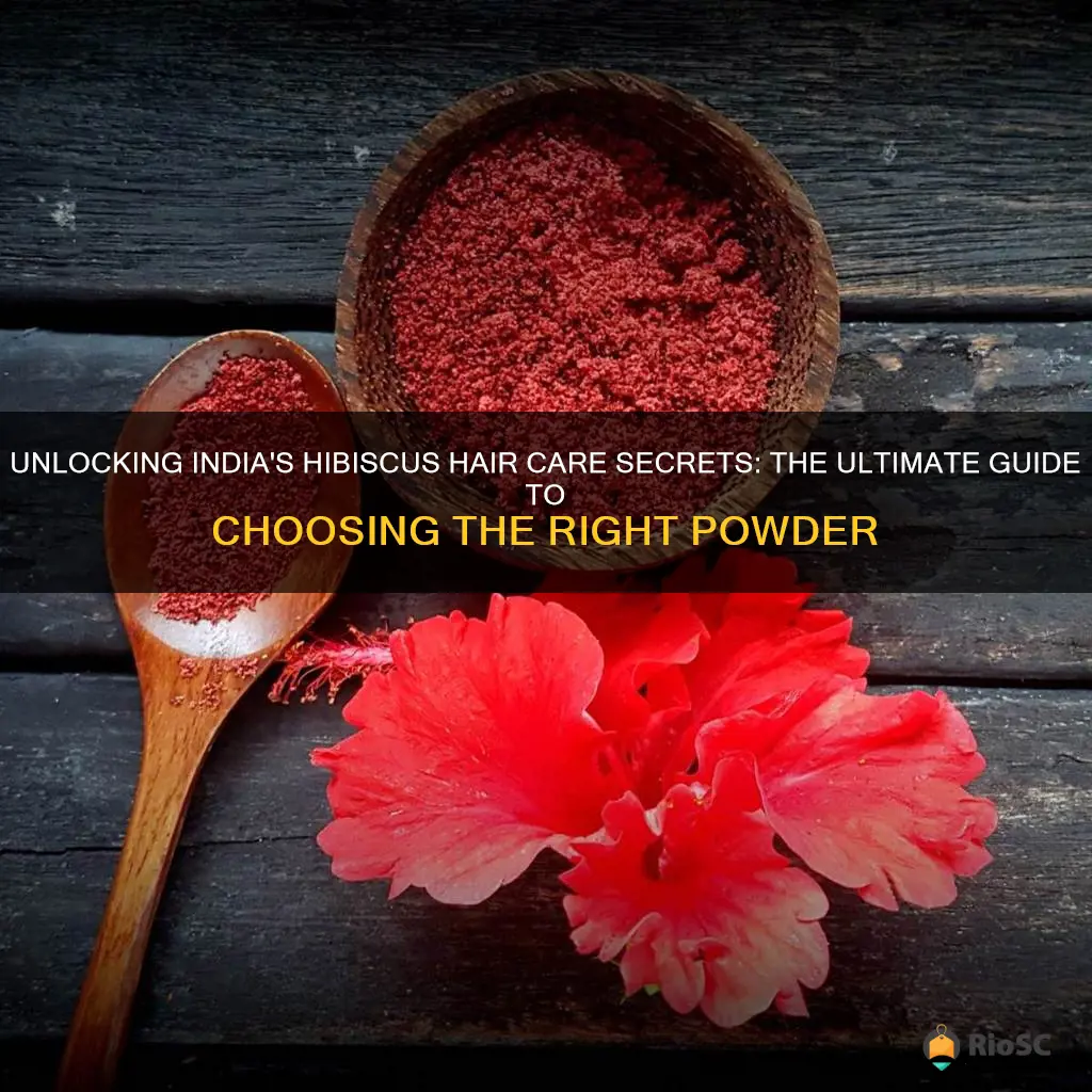 best hibiscus powder for hair in india