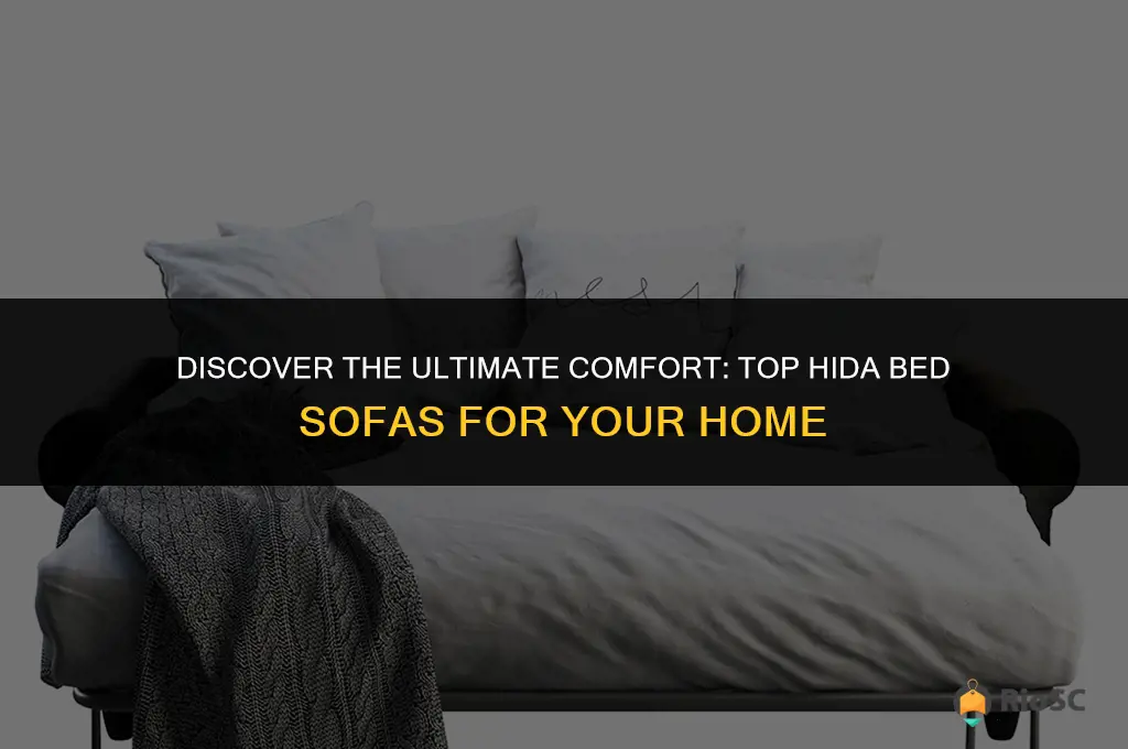 best hida bed sofas