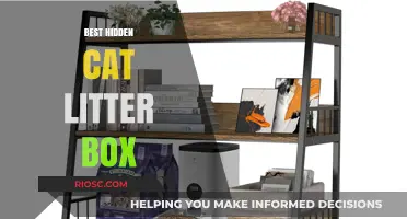 Stylish and Discreet: The Best Hidden Cat Litter Box Solutions for Your Home