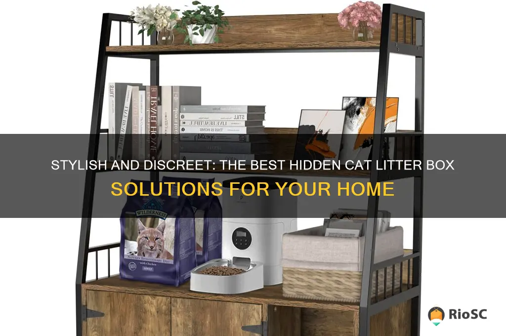best hidden cat litter box