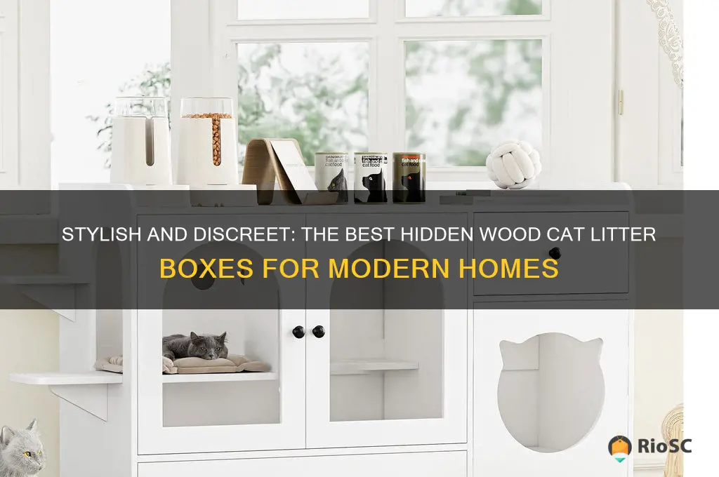 best hidden wood cat litter boxes