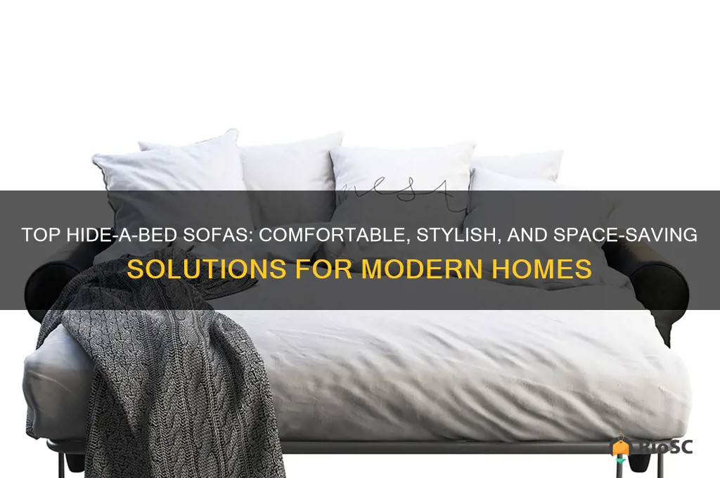 best hide a bed sofa