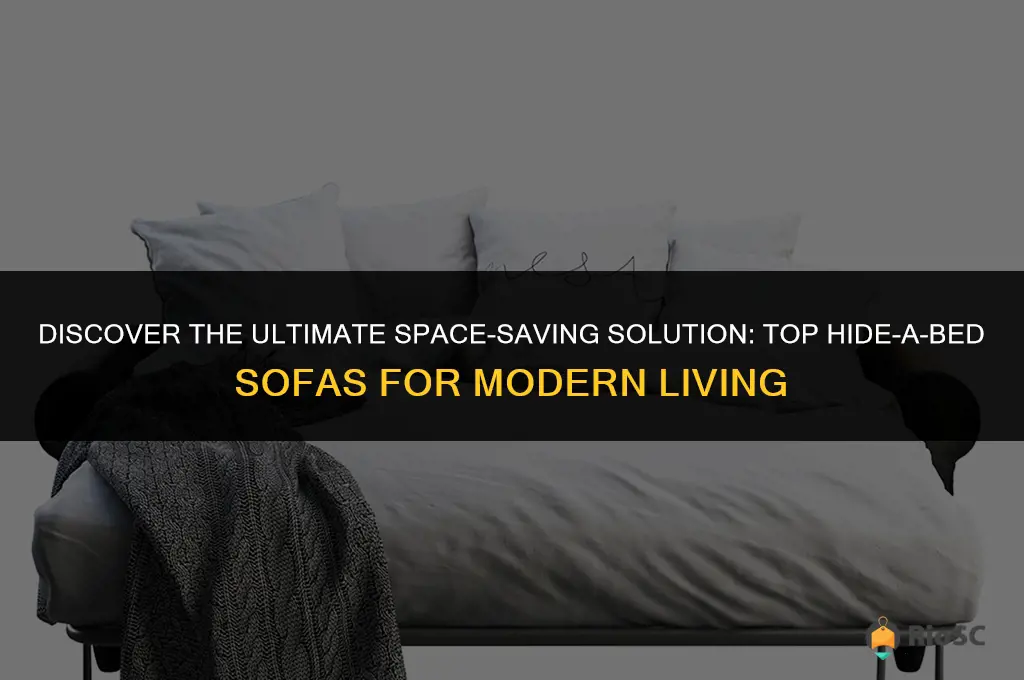 best hide a bed sofas