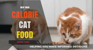 Top Picks for High-Calorie Cat Food: Fueling Your Feline's Energy Needs