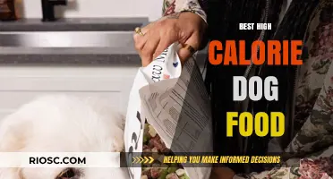 Nutrient-Packed High Calorie Dog Foods to Boost Your Pet's Energy and Health