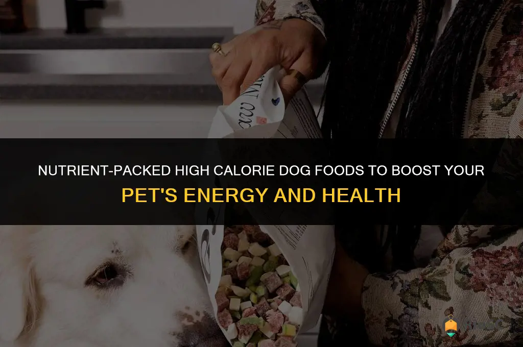 best high calorie dog food