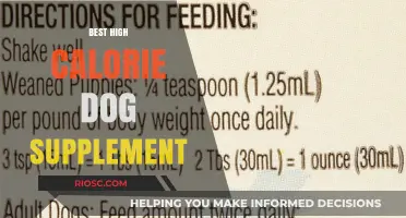 Top High-Calorie Dog Supplements to Boost Your Pet's Energy and Health