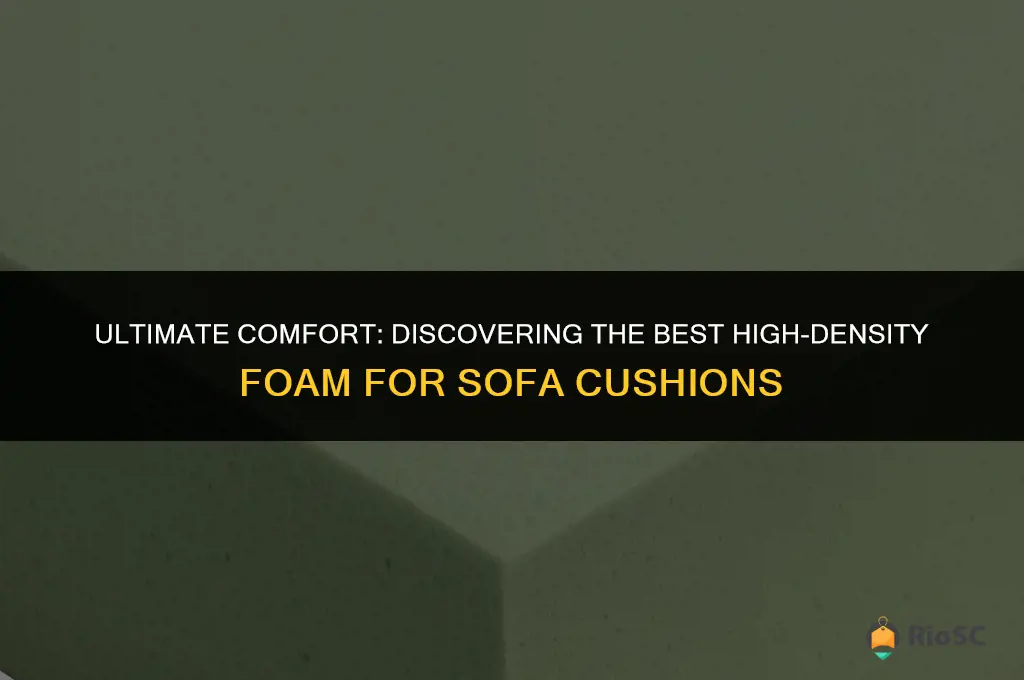 best high density foam for sofa cushions